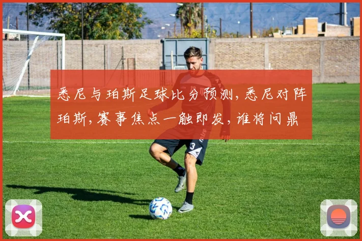 悉尼与珀斯足球比分预测,悉尼对阵珀斯,赛事焦点一触即发,谁将问鼎巅峰